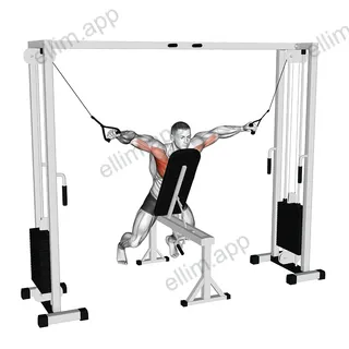 Cable Fly with Chest Supported exercise targeting Chest