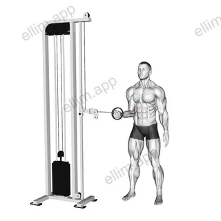 Cable Forearm Pronation exercise targeting Forearms