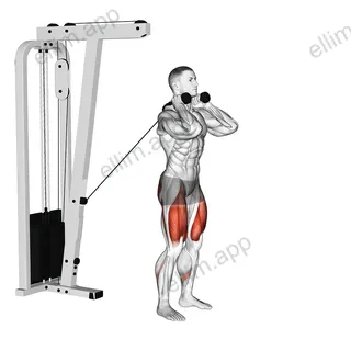 Cable Forward Lunge exercise targeting Thighs and Gluteus Maximus