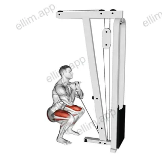 Cable Front Squat with V bar exercise targeting Thighs