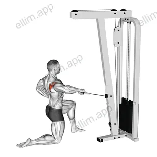 Cable Half Kneeling External Rotation exercise targeting Back
