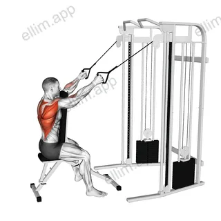 Cable High Row with Chest Support exercise targeting Back