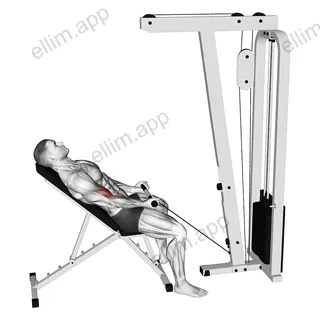 Cable Incline Biceps Curl exercise targeting Upper Arms