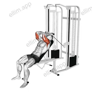 Cable Incline Skull Crusher exercise targeting Upper Arms