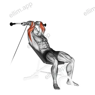 Cable Incline Triceps Extension exercise targeting Upper Arms and Triceps Brachii