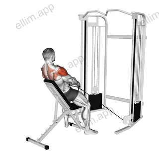 Cable Incline Y Raise with Back Support exercise targeting Shoulders