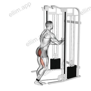 Cable Kickback exercise targeting Hips