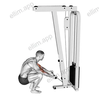 Cable Kneeling Preacher Curl exercise targeting Upper Arms and Biceps Brachii