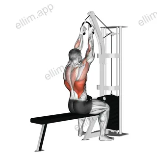 Cable Lateral Pulldown (with rope attachment) exercise targeting Back and Latissimus Dorsi