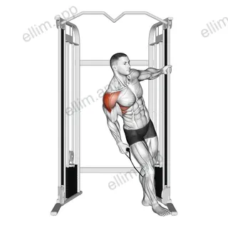 Cable Leaning Lateral Raise exercise targeting Shoulders