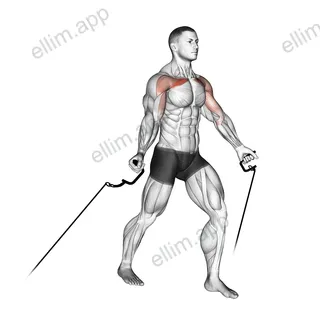 Cable Low Fly exercise targeting Chest and Pectoralis Major Clavicular Head