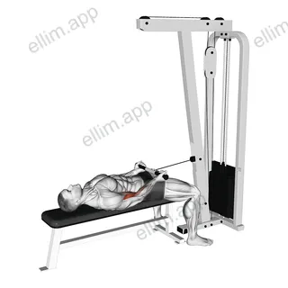 Cable Lying Bicep Curl exercise targeting Upper Arms and Biceps Brachii