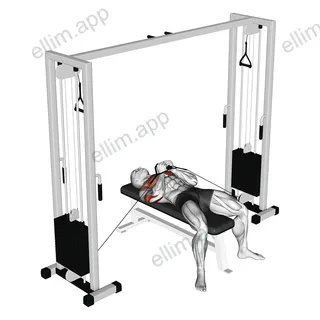 Cable Lying Close Press exercise targeting Upper Arms and Triceps Brachii