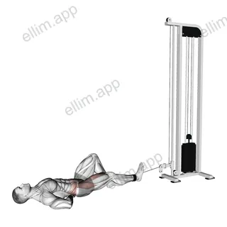 Cable Lying Single Leg Hip Flexion exercise targeting Hips