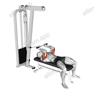 Cable Lying Triceps Extension exercise targeting Upper Arms and Triceps Brachii