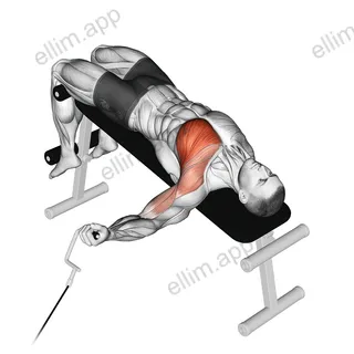 Cable One Arm Decline Chest Fly exercise targeting Chest and Pectoralis Major Sternal Head