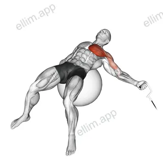 Cable One Arm Fly on Exercise Ball exercise targeting Chest and Pectoralis Major Sternal Head