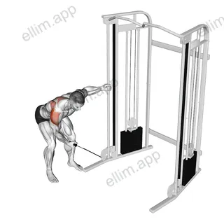 Cable One Arm Reverse Fly exercise targeting Shoulders