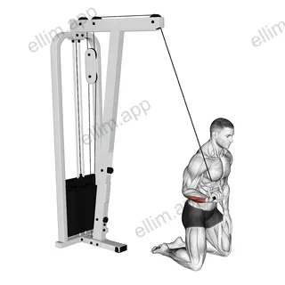 Cable One Arm Wrist Curl exercise targeting Forearms and Wrist Flexors