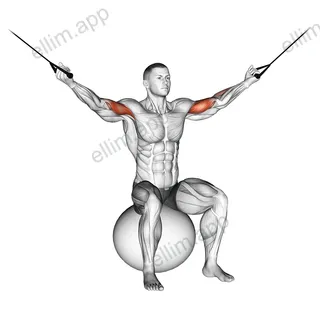 Cable Overhead Curl on Exercise Ball exercise targeting Upper Arms