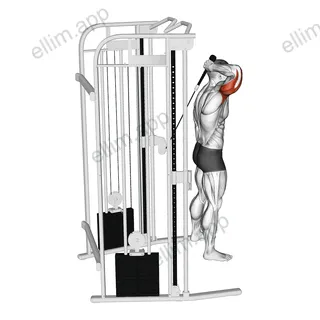 Cable Overhead Single Arm Triceps Extension (rope attachment) exercise targeting Upper Arms and Triceps Brachii