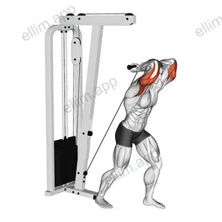 Cable Overhead Tricep Extension Straight Bar exercise targeting Upper Arms