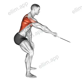 Cable Palm Rotational Row exercise targeting Back and Infraspinatus