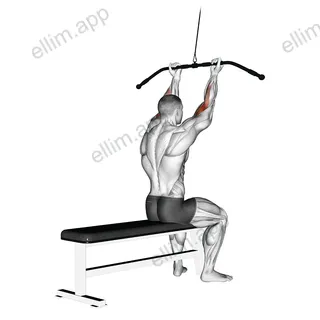 Cable Pulldown Bicep Curl exercise targeting Upper Arms