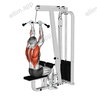 Cable Reverse Grip Pulldown exercise targeting Back