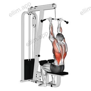Cable Reverse grip Straight Back Seated High Row exercise targeting Back