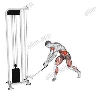 Cable Reverse Woodchop exercise targeting Waist