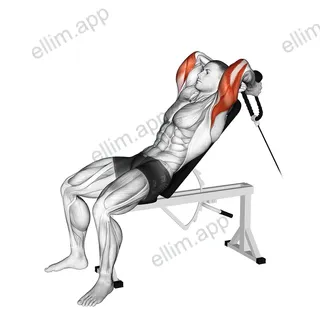 Cable Rope Incline Tricep Extension exercise targeting Upper Arms
