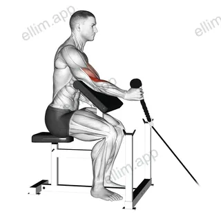 Cable Rope One Arm Hammer Preacher Curl exercise targeting Upper Arms