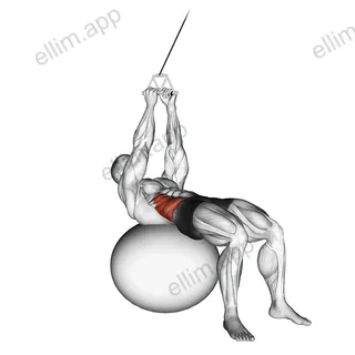 Cable Russian Twists (on stability ball) exercise targeting Waist and Obliques
