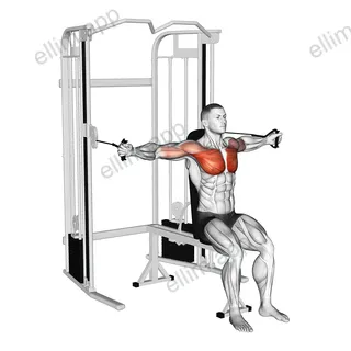 Cable Seated Chest Fly exercise targeting Chest