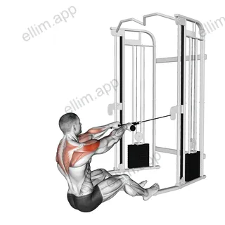 Cable Seated Face Pull (with rope) exercise targeting Shoulders