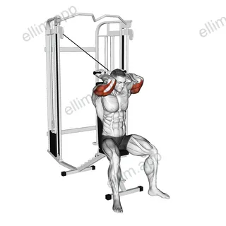Cable Seated High Pulley Overhead Tricep Extension exercise targeting Upper Arms