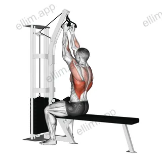 Cable Seated High Row (V bar) exercise targeting Back