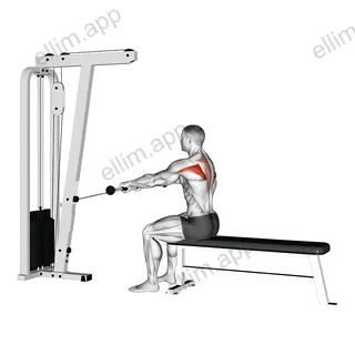 Cable Seated Horizontal Shrug exercise targeting Back