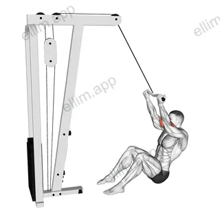 Cable Seated Overhead Curl (SZ Bar) exercise targeting Upper Arms