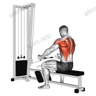 Cable Seated Row (Bent bar) exercise targeting Back and Infraspinatus