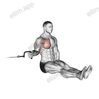Cable Seated Shoulder Internal Rotation exercise targeting Back and Teres Major