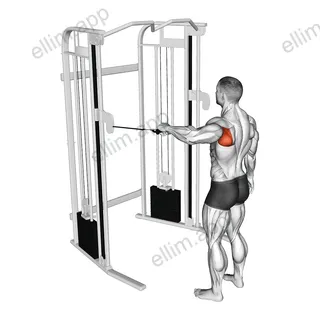 Cable Shoulder 90 degrees External Rotation exercise targeting Back and Teres Major