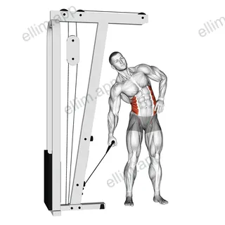 Cable Side Bend exercise targeting Waist and Obliques