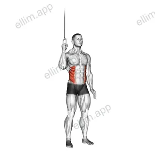 Cable Side Crunch exercise targeting Waist and Obliques
