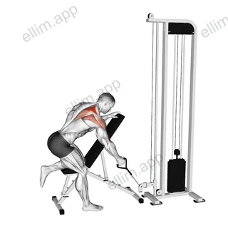 Cable Single Arm Low Scapular Row exercise targeting Back