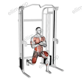 Cable Split Stance Horizontal Pallof Press exercise targeting Waist