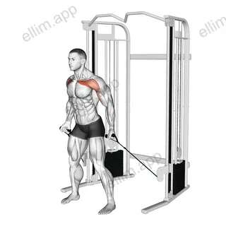 Cable Standing Alternate Low Fly exercise targeting Chest