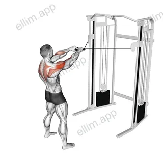 Cable Standing Face Pull exercise targeting Shoulders and Deltoid Posterior