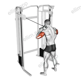 Cable Standing High Cross Triceps Extension exercise targeting Upper Arms and Triceps Brachii